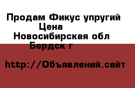 Продам Фикус упругий  › Цена ­ 1 000 - Новосибирская обл., Бердск г.  »    